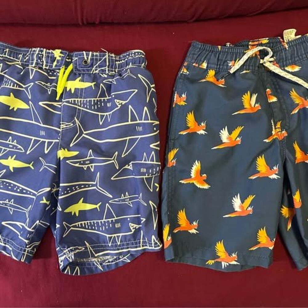 Boys Swim Trunks Lot of 2 | Quiksilver & Carter’s | Sizes 5 & 6